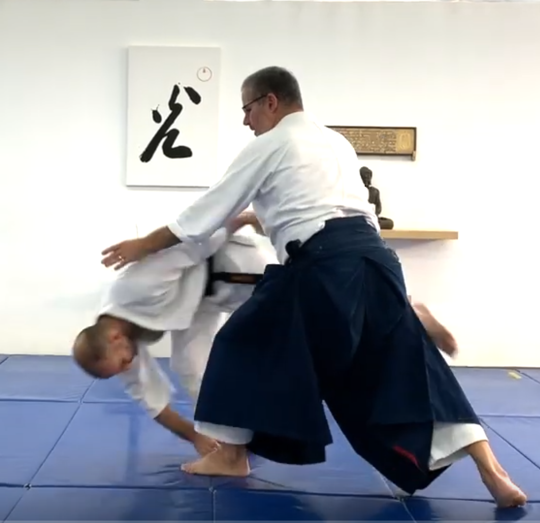 Kaeshi Waza Kaeshi Waza